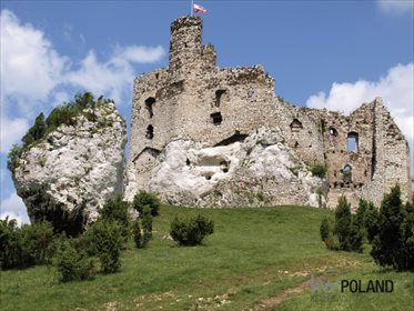 Działka budowlana na sprzedaż Kotowice, Kotowice-Mirów, Zamkowa 14 250m2 Foto 4