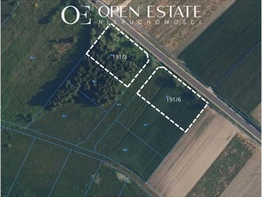 działka na sprzedaż 1999m2 działka Złotopolice