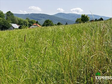 działka na sprzedaż 1069m2 działka Jaworze, Ustronna