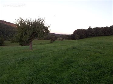Działka rolna na sprzedaż Chrośnica 154 459m2 Foto 5