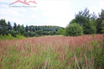 działka na sprzedaż 1833m2 działka Krosno