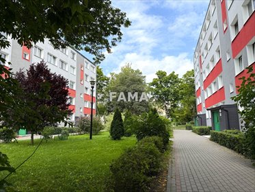mieszkanie na sprzedaż 58m2 mieszkanie Włocławek, Zazamcze, Wesoła