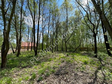 Kameralna działka 1370 m2 pod dom w Milanówku działka Milanówek