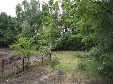 Działka 1 ha z lasem i dostępem do stawu - polecam! działka Marynin
