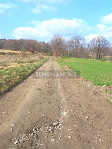 Działka budowlana na sprzedaż Witoszów Górny 1 518m2 Foto 2