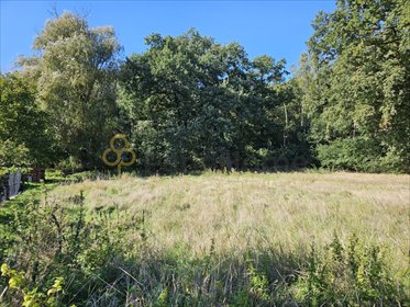 działka na sprzedaż 1000m2 działka Betkowo