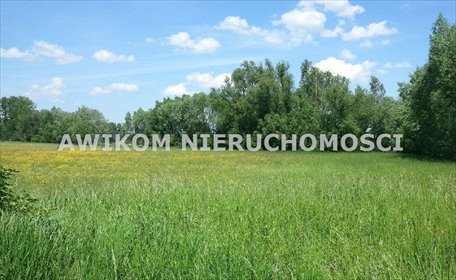 Polecam działkę 1566 m² z energią i wodą, świetny dojazd działka Baranów, Kopiska