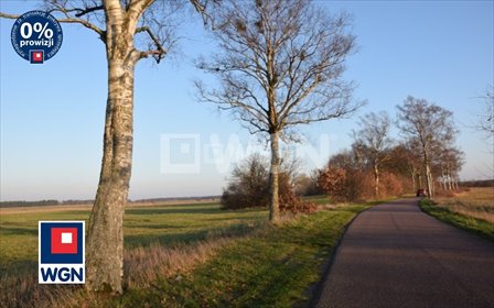 Działka budowlana 3000 m2 z widokiem na las i dostępem do drogi działka Smołdziński Las, Smołdziński Las