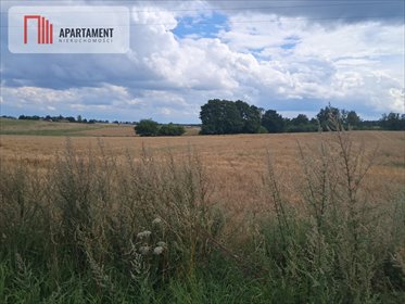 działka na sprzedaż 110900m2 działka Róża Wielka
