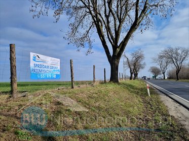 Grunt przemysłowy 5 ha przy drodze krajowej nr 12 - polecam! działka Ruszowice