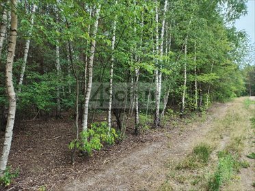 działka na sprzedaż 1706m2 działka Wólka