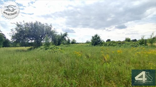 działka na sprzedaż 5500m2 działka Dąbrówka Wielka, Dąbrowska