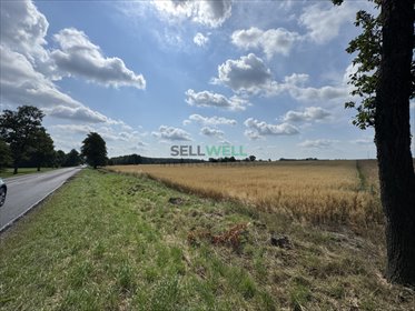 działka na sprzedaż 33800m2 działka Złotniki