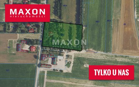 Działka 8 000 m2 w Wąsy-Kolonii - ogrodzona z drzewami działka Wąsy-Kolonia