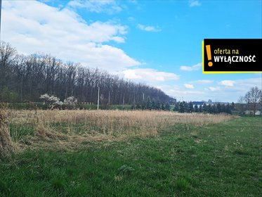 Polecam działkę 0,52 ha przy drodze krajowej 79 w Łubnicach działka Łubnice