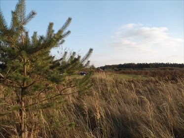 Działka budowlana na sprzedaż Robakowo, Kórnik 3 340m2 Foto 1