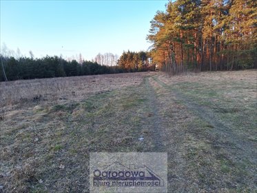 Działka 46 000 m² przy DK50 z planem usług i zabudową działka Zawiszyn