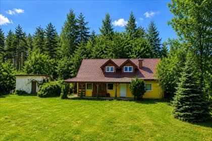Uroczy dom z dużą działką i altaną w Czarnym Lesie dom Czarny Las-Kolonia