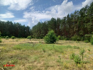 działka na sprzedaż 4280m2 działka Likiec