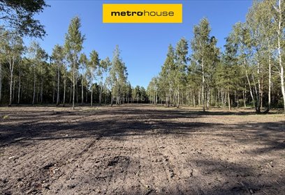 Zapraszam do zakupu działki 1599 m² w Nowych Chrustach działka Nowe Chrusty, Klonowa