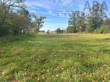 działka na sprzedaż 15900m2 działka Cichmiana
