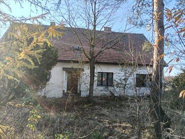 Dom z potencjałem na działalność, 120 m², działka 2 780 m² dom Pniów, Wielowiejska