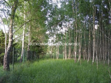 Działka 1,18 ha z dostępem do jezior i lasów w Otrębie działka Otręba