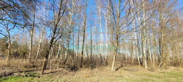 działka na sprzedaż 1200m2 działka Grodzisk Mazowiecki