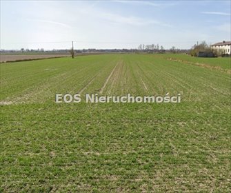 działka na sprzedaż 11900m2 działka Sochaczew, Czerwonka, Wieś