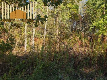 Na sprzedaż przestronna działka 1710 m² w Zalesiu Dolnym działka Piaseczno, Zalesie Dolne