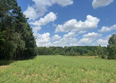 Działka rekreacyjna na sprzedaż Dworszowice Kościelne 780m2 Foto 4