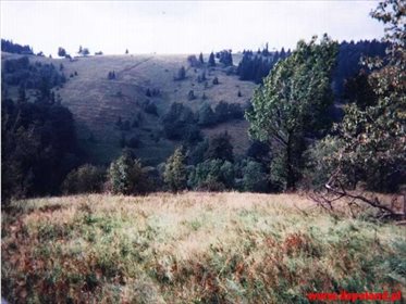 Działka budowlana na sprzedaż Bronowiec 23 000m2 Foto 1