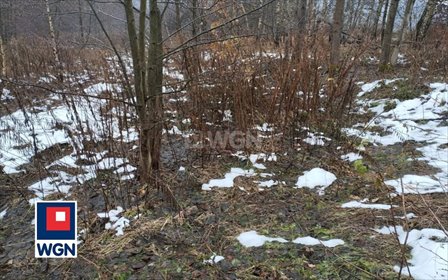 Na sprzedaż działka rolna 44 arów z pięknymi widokami działka Płaza, Płaza Dolna