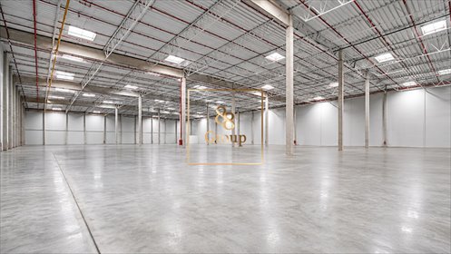 Nowy magazyn 40 000 m2 z dokami i wysokim składowaniem magazyn Bytom
