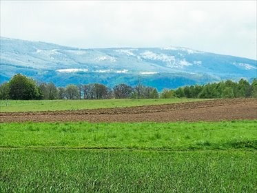 dom na sprzedaż 100m2 dom Domaszków