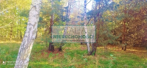 Malownicza działka 6000 m2 w Budy Michałowskie działka Budy Michałowskie
