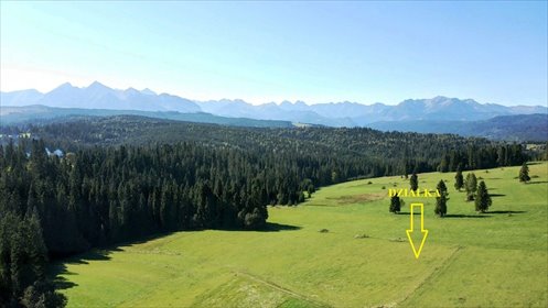 Działka z widokiem na Tatry, las, dojazd utwardzony działka Tatrzański, Potok Grocholów