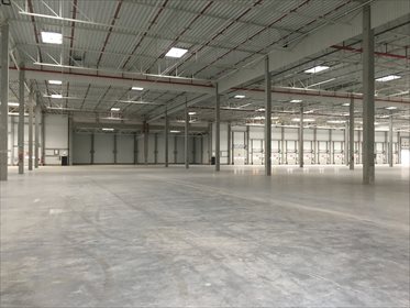 lokal użytkowy na wynajem 2620m2 lokal użytkowy Chęciny