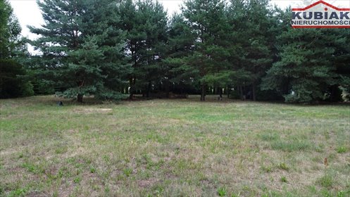 Działka 2266 m² z warunkami zabudowy, las, zieleń działka Jaktorów