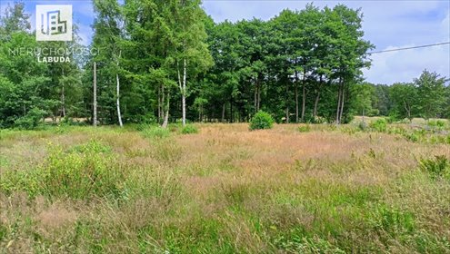 Działka nad morzem 4790 m² z mediami i WZ. działka Machowinko