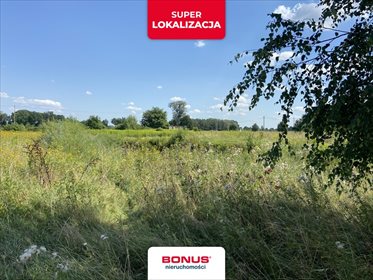 Działka budowlana na sprzedaż Nowe Gniewniewice 1 500m2 Foto 4