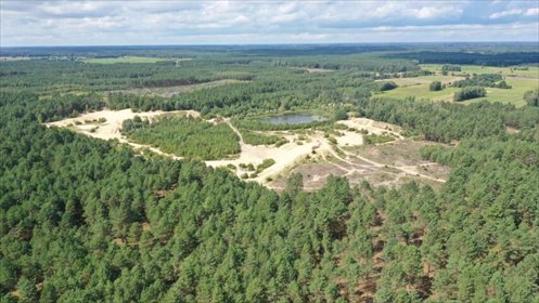 Duża działka leśna 35 800 m² w Nakłach - polecam! działka Nakły