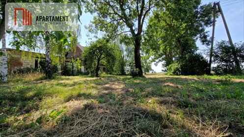 działka na sprzedaż 3000m2 działka Słębowo