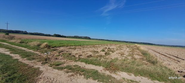 działka na sprzedaż 3000m2 działka Rogów