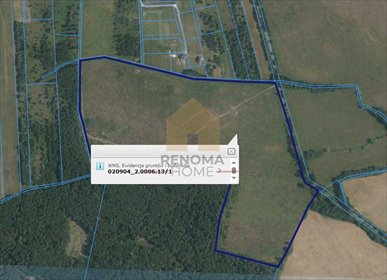 działka na sprzedaż 196400m2 działka Miłogostowice