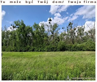 działka na sprzedaż 2433m2 działka Krzeptów