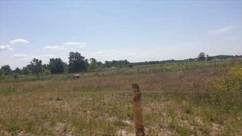 działka na sprzedaż 1370m2 działka Międzywodzie