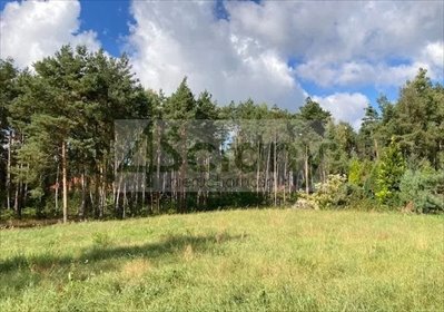 działka na sprzedaż 3351m2 działka Radonie