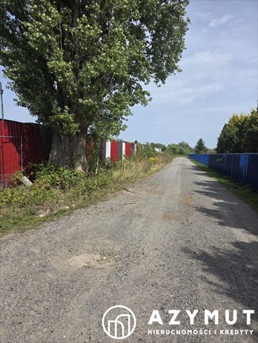 Teren inwestycyjny 1,25 ha w Nowej Wsi Legnickiej zapraszam działka Nowa Wieś legnicka