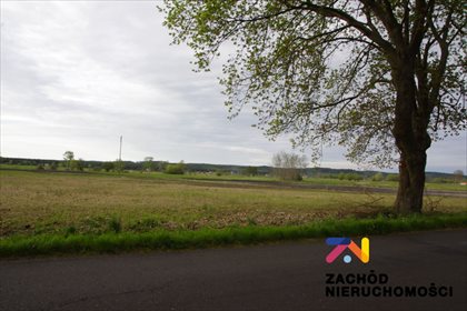 działka na sprzedaż 1300m2 działka Gorzów Wielkopolski